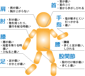 首や腰、手足の痛みには整形外科